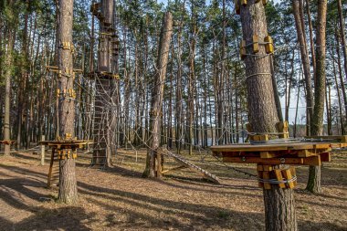 çam ormanı yetişkin ve çocuk eğlence, - resim için halat Parkı