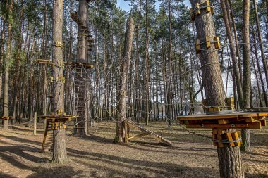 çam ormanı yetişkin ve çocuk eğlence, - resim için halat Parkı