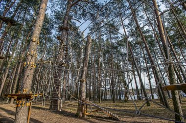 çam ormanı yetişkin ve çocuk eğlence, - resim için halat Parkı
