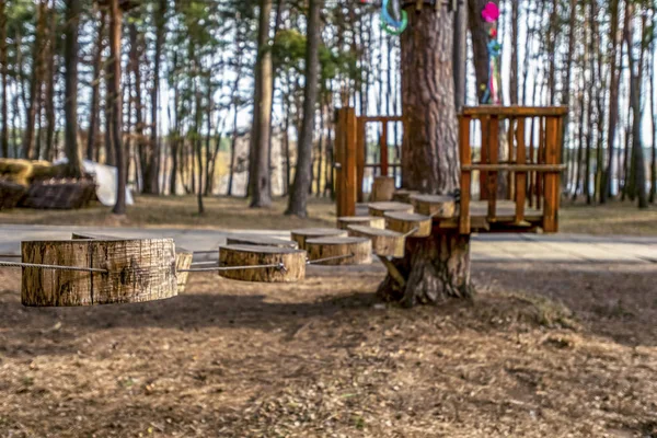 Мотузковий Парк Сосновому Лісі Дорослих Дитячих Розваг Зображення — стокове фото