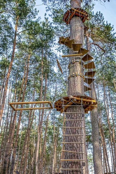 Lanový Park Borovém Lese Pro Dospělé Zábavu Pro Děti Obrázek — Stock fotografie