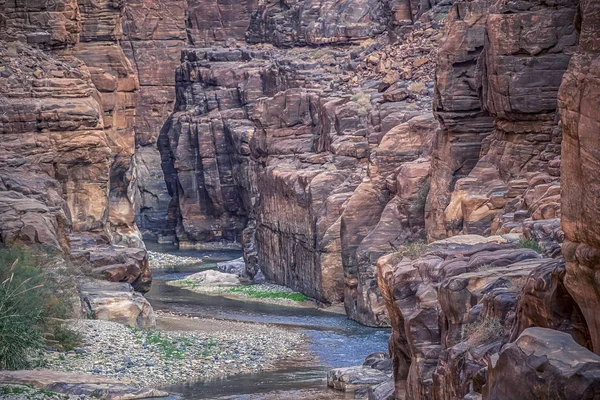 Increíblemente Impresionante Hermoso Cañón Con Acantilados Rocosos Parque Nacional Jordania —  Fotos de Stock