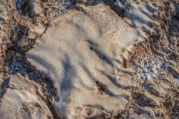 Padrões Naturais Incrivelmente Fantásticos Únicos Sal Mar Morto Formas Cósmicas — Fotografia de Stock