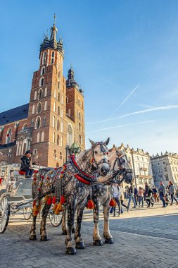 17/02/2019, Krakow, Polonya Ortaçağ arabaları turist tarihi şehir merkezine getirmek ve onları eğlendirmek