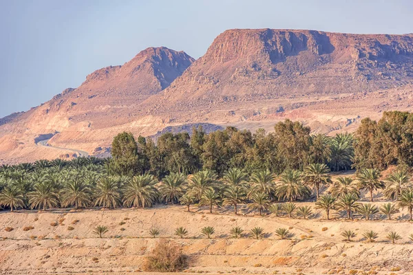 Increíble Paisaje Costa Del Mar Muerto Con Insuperables Montañas Palmeras — Foto de Stock