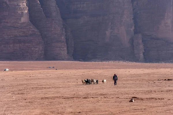 2019 Wadirum Ürdün Arap Çoban Ürdün Kırmızı Kum Çöl Wadi — Stok fotoğraf