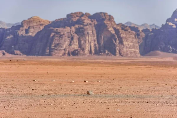 Ürdün Kırmızı Kum Çöl Wadi Rum Inanılmaz Manzara Wadi Rum — Stok fotoğraf