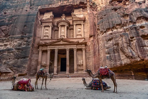 Kameler Och Står Framför Khazneh Grav Treasury Grav Petra Jordanien — Stockfoto