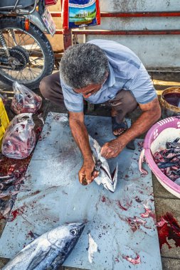 13/05/2019 İran, Bandar Abbas, Hormozgan Eyaleti, yaşlı adam, Basra Körfezi kıyısındaki geleneksel balık pazarında ton balıklarını temizleyip bölüştü