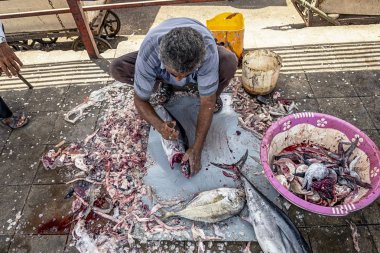 13/05/2019 İran, Bandar Abbas, Hormozgan Eyaleti, yaşlı adam, Basra Körfezi kıyısındaki geleneksel balık pazarında ton balıklarını temizleyip bölüştü