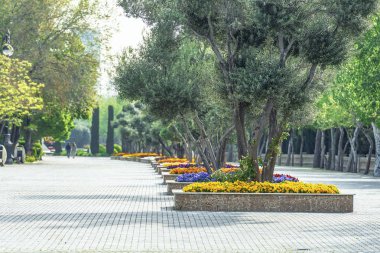 02/05/2019, Kura Nehri üzerinde Barış Köprüsü, fütüristik yaya