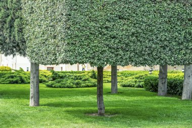 02/05/2019, Kura Nehri üzerinde Barış Köprüsü, fütüristik yaya