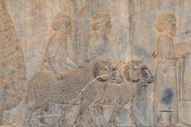 İran'daki eski Pers Ahameniş İmparatorluğu'nun antik başkenti Persepolis'in duvarlarındaki Ancien yazıtları, Zerdüşt sembolü Faravahar