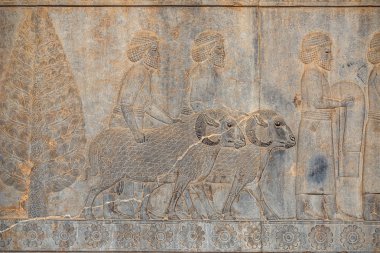 İran'daki eski Pers Ahameniş İmparatorluğu'nun antik başkenti Persepolis'in duvarlarındaki Ancien yazıtları, Zerdüşt sembolü Faravahar