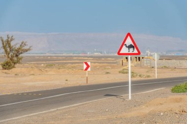 Yol işareti: Çölün ortasında deve sakının. develer yoldan geçerken, İran Lut çölünde işaret