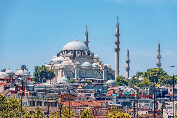 2019 Estambul Turquía Una Mirada Estándar Turística Mezquita Azul También — Foto de Stock