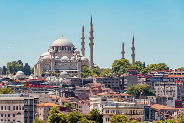 2019 Estambul Turquía Una Mirada Estándar Turística Mezquita Azul También — Foto de Stock