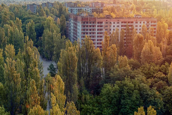 Kayıp şehir Pripyat 'ın hava manzarası. Ağaçlarla kaplı bir sürü boş beton zemin. Pripyat, Çernobil nükleer santralindeki kazadan sonra 33 yıl boyunca boşaldı.