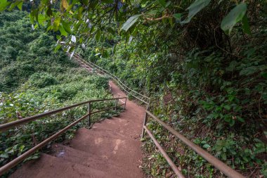 Yana Kayalıkları 'ndaki bir dağ ormanında sihirli patikalar. İçinde mağaralar olan eski bir taş oluşumu. Karnataka. Hindistan. Hint turizm konsepti