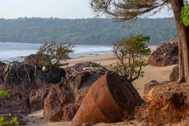 Maharashtra 'da vahşi bir sahil manzarası. Hindistan 