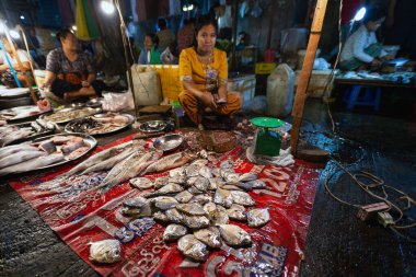 Geleneksel Burma pazarında taze balık satan Birmanyalı kadın, 01 / 22 / 2020 Myanmar (Burma) Yangon. Bölgenin dört bir yanından insanların ürün satmak ve satın almak için geldiği yerel bir pazar..