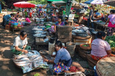 Geleneksel Burma pazarında taze balık satan Birmanyalı kadın, 01 / 22 / 2020 Myanmar (Burma) Yangon. Bölgenin dört bir yanından insanların ürün satmak ve satın almak için geldiği yerel bir pazar..