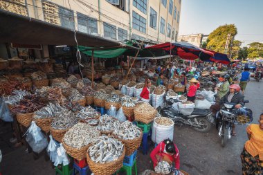 Birmanya 'da geleneksel bir Burma pazarında kurutulmuş balık satan Birmanyalı bir kadın olan Myanmar (Burma) Yangon. Bölgenin dört bir yanından insanların ürün satmak ve satın almak için geldiği yerel bir pazar..