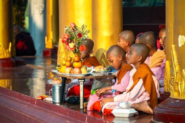 01 / 212020 Myanmar, Yangon, Shwedagon Altın Pagoda yakınlarında dua eden bir grup genç keşiş. Shwedagon Pagoda - Myanmar 'ın en kutsal Budist tapınağı