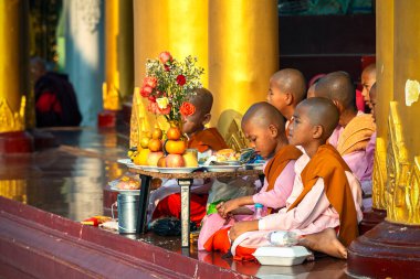 01/212020 Myanmar, Yangon, a group of young monks sitting praying near the Shwedagon Golden Pagoda. Shwedagon Pagoda - Myanmar's most sacred Buddhist pagoda clipart