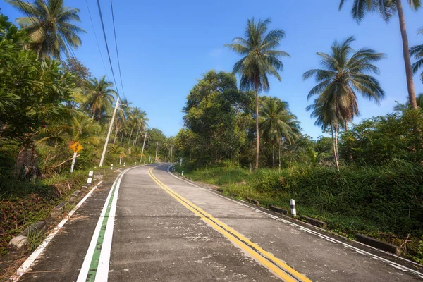 Порожня Звивиста Дорога Між Кокосовими Пальмами Тропічному Острові Пха Нган — стокове фото