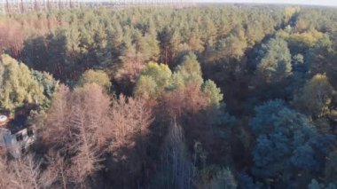 Ufuk ötesi radar istasyonları DUGA 'nın hava görüntüsü. Sovyet füze savunma radarı Çernobil sınırlama bölgesinde. Ukrayna. İnsansız hava aracı görüntüsü. HBO dizisindeki Çernobil gibi.