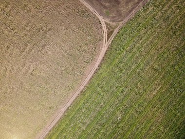 Ortho fotoğraf. taze yeşil alanlar, ülke yollar ve traktör ile kırsal bölgenin havadan görünümü izler 