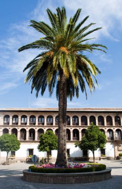 Çiçekli, palmiye ağacı balcons ve arka planda windows ile bir yapı. Ronda İspanyol şehir içinde yer alan 