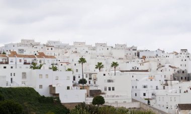 Mimari kompleks beyaz evler birbirine yakın bir dağın tepesinde oluşan, Vejer de la Frontera İspanya Cadiz il Belediyesi yer almaktadır