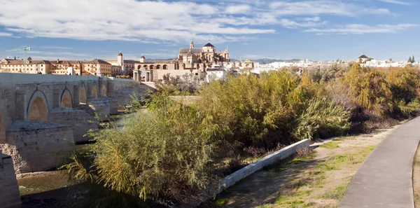 Cordoba Köprü Tabanından Alınan Görüntü Caminin Yanındaki Katedral Şehrin Giuadalquivir — Stok fotoğraf