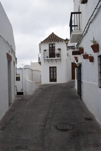 Casas Encaladas Calle Decoradas Con Plantas Macetas Sus Paredes Final — Foto de Stock