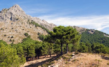Ağaçlarda İspanya Grazalema köyü çevrili büyük bir manzara. Ayrıca gökyüzü ve bulutlar görmek 