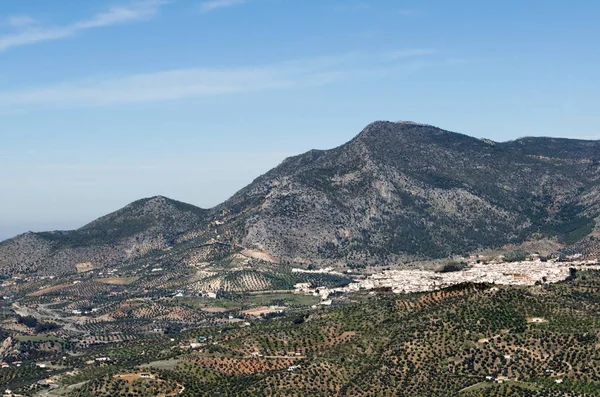 Paisaje Masivo Rodeado Árboles Pueblo Zahara Sierra España Puede Ver — Foto de Stock