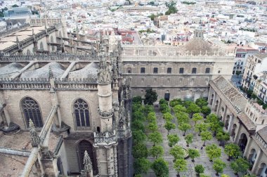 Giralda Kulesi Seville İspanyol şehir içinde bulunan