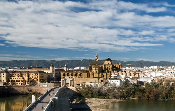 Cordoba Köprü Tabanından Alınan Görüntü Caminin Yanındaki Katedral Şehrin Giuadalquivir — Stok fotoğraf