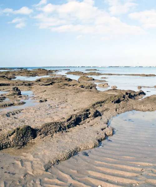 Rock Piasek Plaża Pionowo Wschód Słońca Wybrzeżu Hiszpańskim Mieście Kadyks — Zdjęcie stockowe