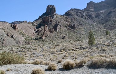 Teide Adası Tenerife İspanya bulunan doğal bir parkta bir volkan gibi ve korumalı 