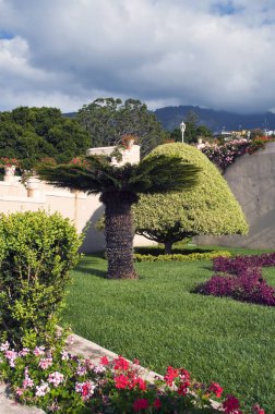 Bahçe sömürge ev bulunan La Orotava İspanyol şehir bir portakal arka plan dağlarda görebilirsiniz 
