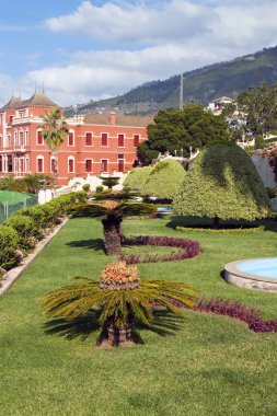 Turuncu İspanyol şehir, La Orotava içinde bulunan bir sömürge ev bahçe yolu 