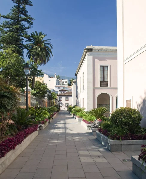 Paseo Con Palmeras Macetas Pueblo Español Orotava Tenerife Pueden Ver — Foto de Stock