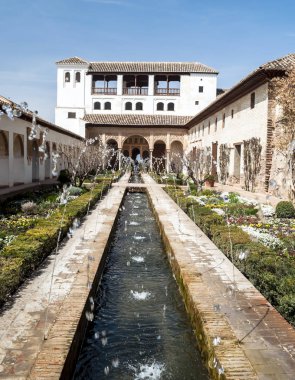 Alhambra Granada İspanyol şehir içinde bulunan Nasrid harikası içinde bulunan bahçeler, biz su jetleri ile bir su birikintisi ve arka görebilirsiniz 