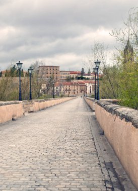 Salamanca şehir nehir Pisuerga köprü görünümünü vardır her iki tarafta lambalar