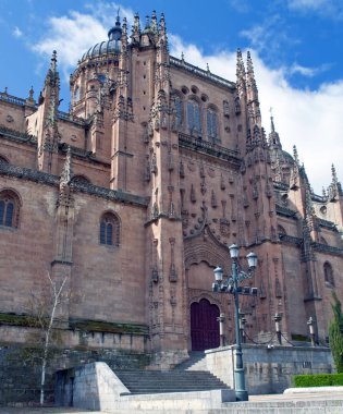 salamanca cathedral pilasterleri ve payandaların cephe görünümü 