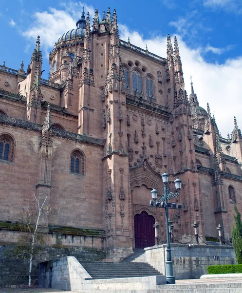 Salamanca Cathedral Pilasterleri Payandaların Cephe Görünümü — Stok fotoğraf