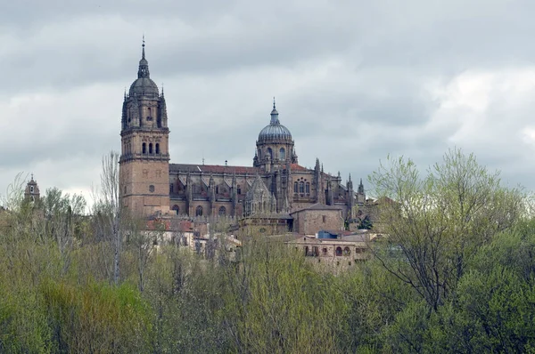 Park Flowers Seats Spanish City Salamanca Cathedral Background — Stock Photo, Image